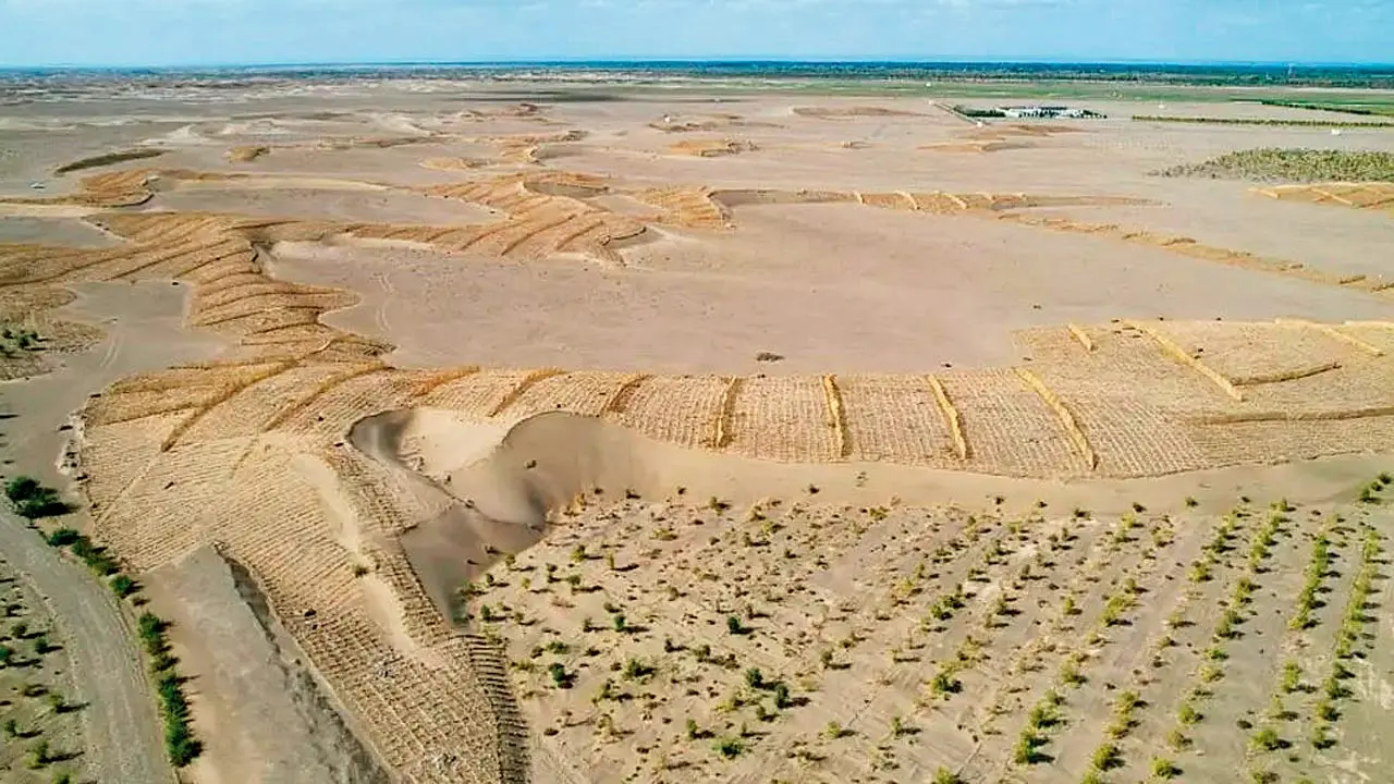 Kiina muuttaa aavikon hedelmälliseksi maaksi istuttamalla organismeja, jotka olivat olemassa 3,5 miljardia vuotta sitten.