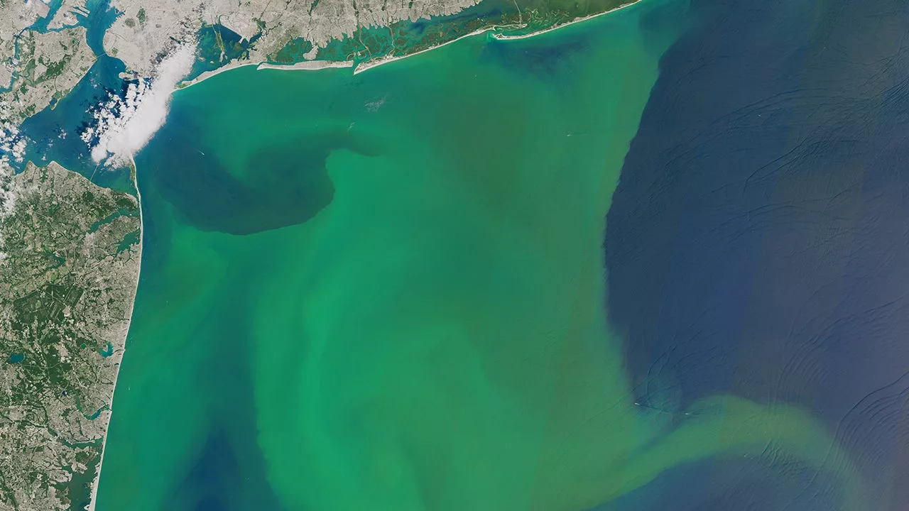 Asiantuntijat varoittavat: raudan puute meressä haittaa kasviplanktonin fotosynteesiä ja kehottavat ryhtymään välittömästi toimiin.