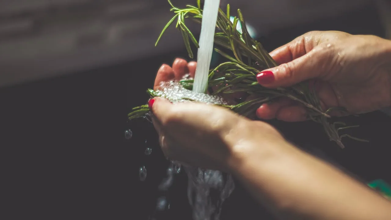 Jalkojen pesu etikalla ja rosmariinilla: miksi se on suositeltavaa ja milloin se on parasta tehdä.