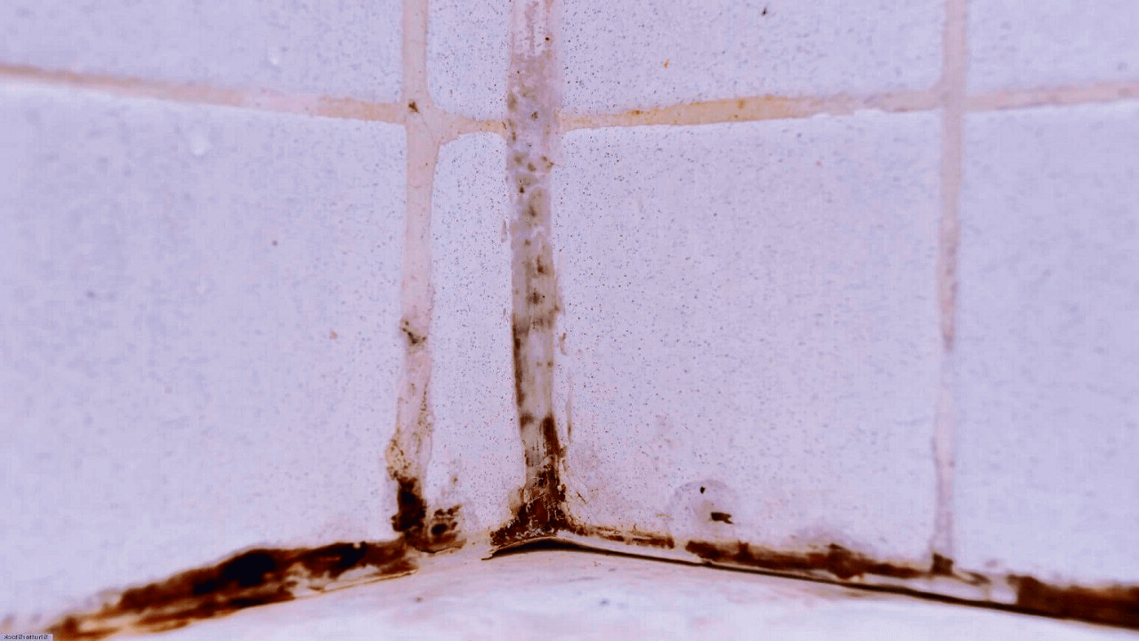 Kotona käytettävä tapa poistaa hometta kylpyhuoneen laattojen välistä: tekniikka, jossa käytetään kolmea puhdistusainetta ja joka palauttaa pintojen alkuperäisen ulkonäön.