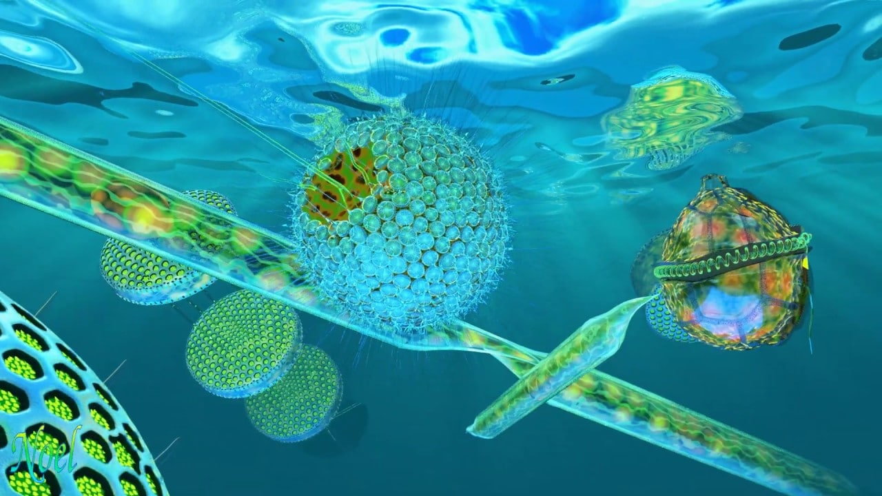 Asiantuntijat varoittavat: raudan puute meressä haittaa kasviplanktonin fotosynteesiä ja kehottavat ryhtymään välittömästi toimiin.