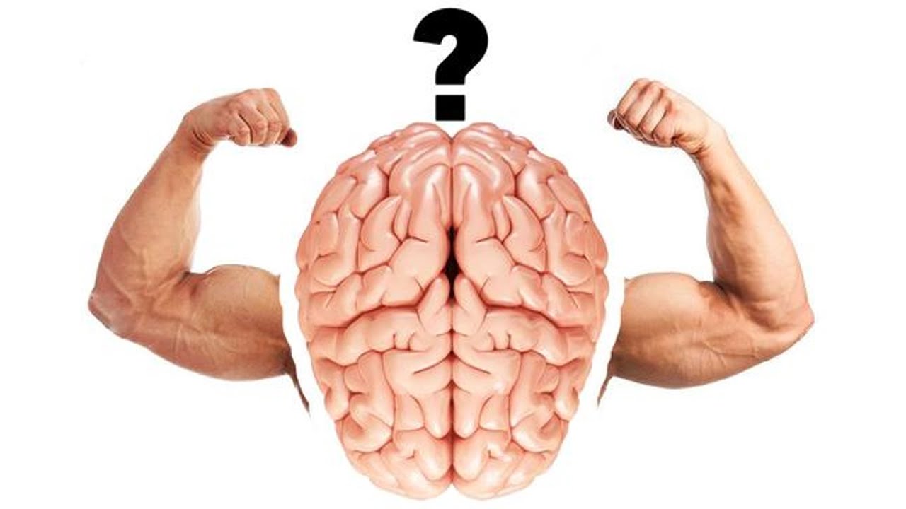 Kuinka fyysinen aktiivisuus stimuloi uusien yhteyksien muodostumista aivoissa