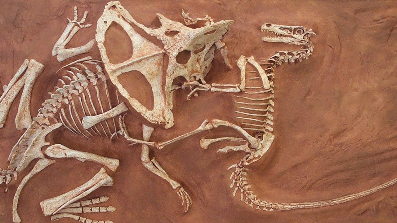 Vuosisadan arkeologinen löytö: aiemmin tuntemattoman dinosauruksen fossiilin löytäminen pakottaa tarkistamaan evoluution historiaa.