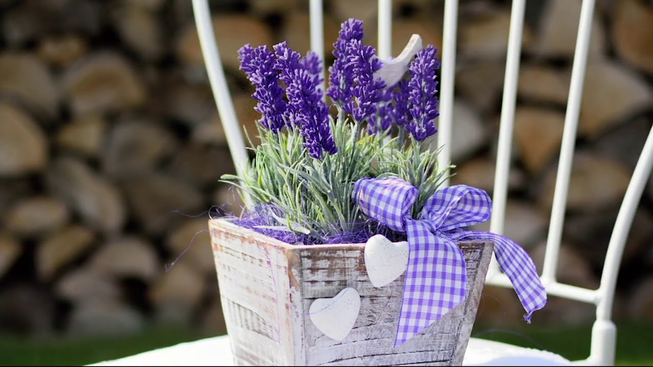 Feng shui: Mitkä paikat kodissa ovat pyhiä laventeliruukun sijoittamiselle?