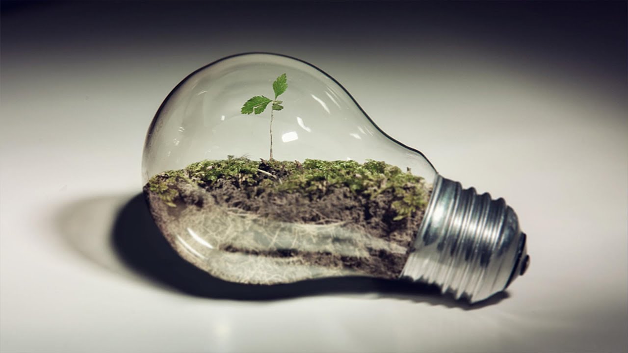 Olemme vuosikymmeniä haaveilleet loputtomasta määrästä ”aurinkopolttoainetta”. Kasveista mallia ottava uusi materiaali on juuri osoittanut, että tämä on mahdollista.