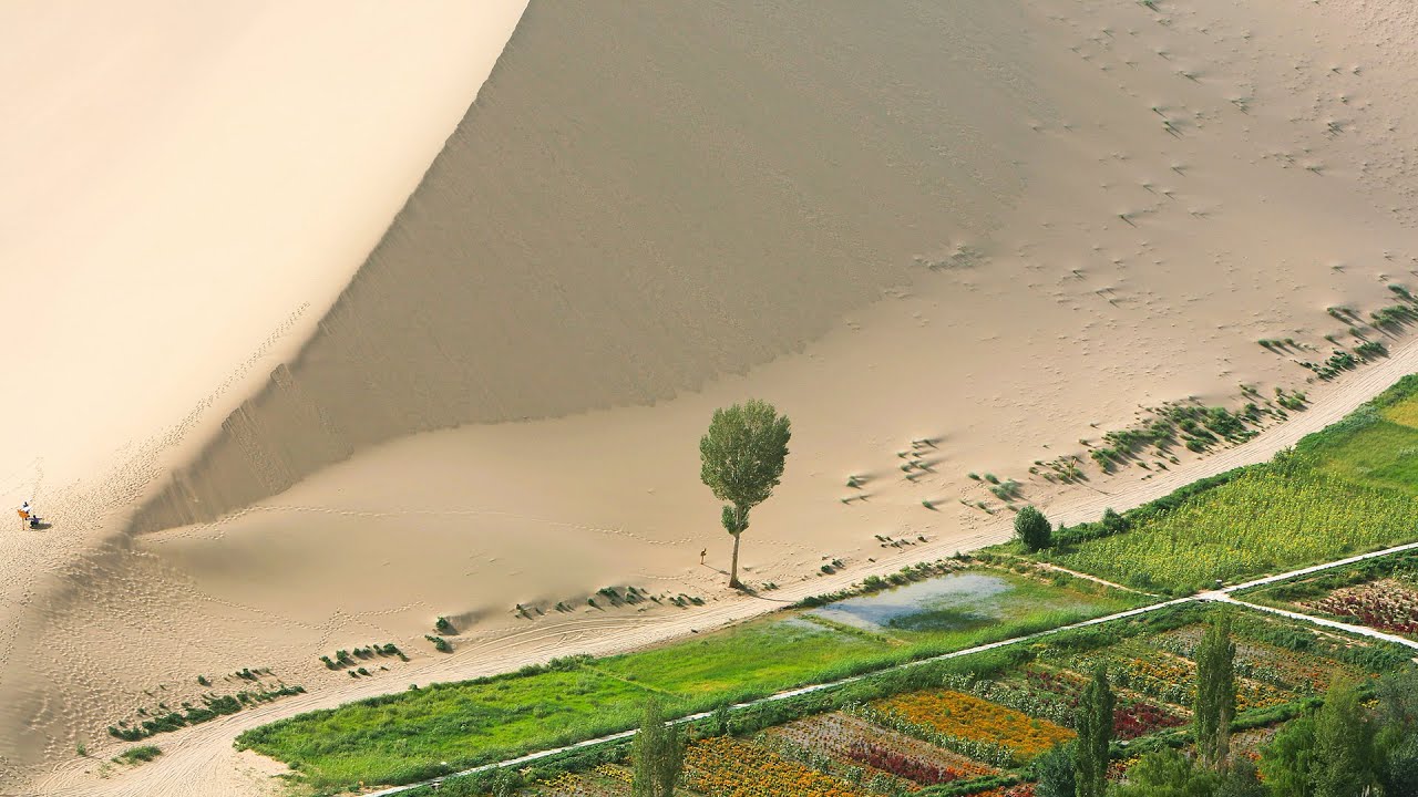 Kiina muuttaa aavikon hedelmälliseksi maaksi istuttamalla organismeja, jotka olivat olemassa 3,5 miljardia vuotta sitten.