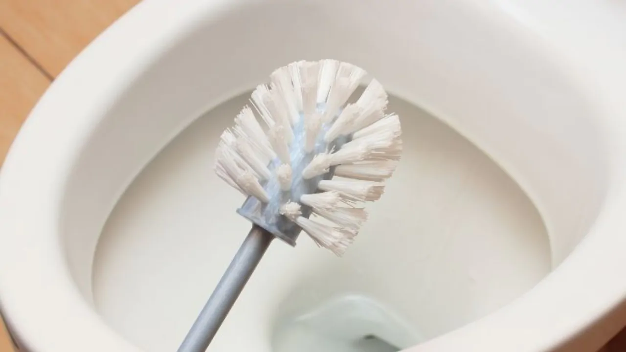 Pakollinen WC-harjan desinfiointi yhdellä puhdistusaineella: tekniikka, jonka avulla harja palautuu helposti alkuperäiseen kuntoonsa.